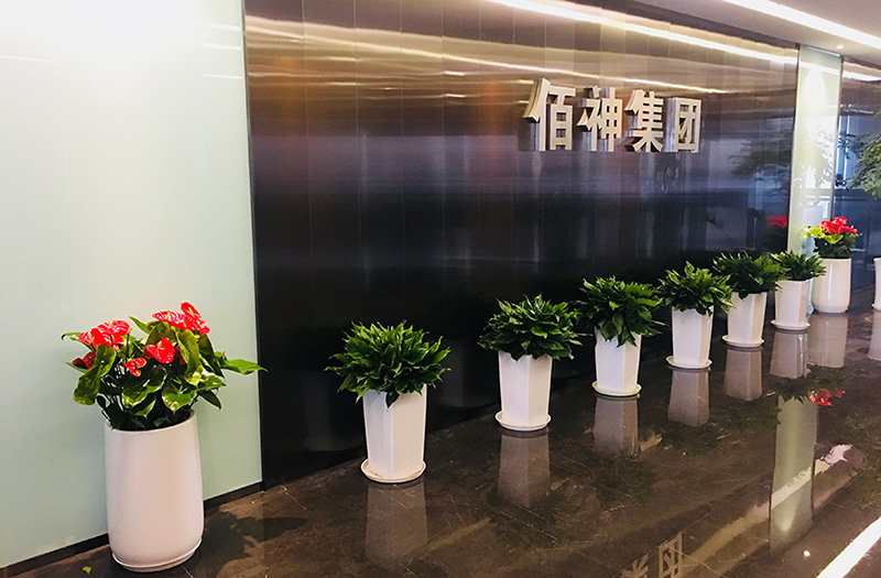 非常適合養(yǎng)在辦公室的10款大盆綠植，高端大方