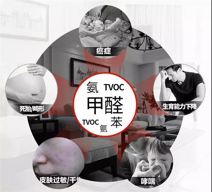 杭州辦公室擺放什么綠植可以除甲醛？
