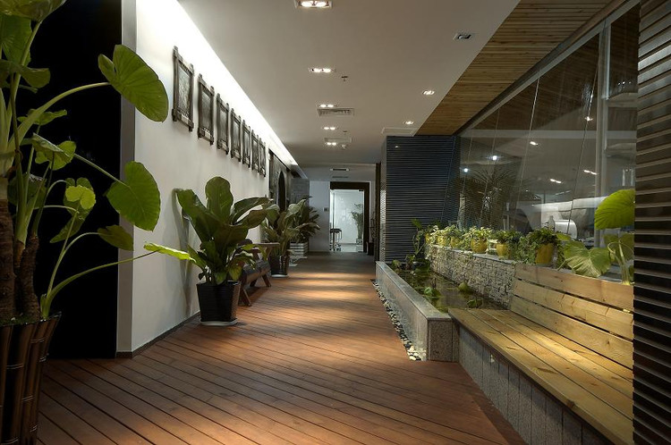 辦公室裝修中風(fēng)水植物怎么擺放？