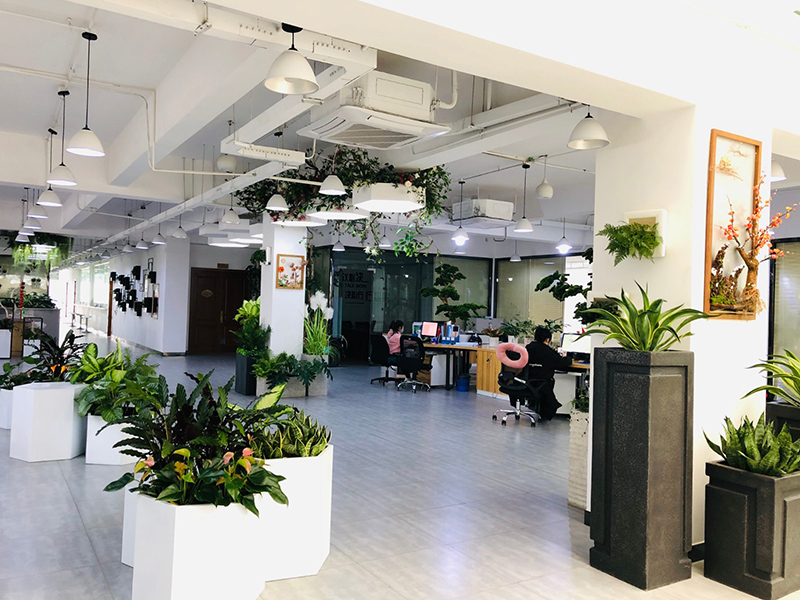 如何在辦公室內(nèi)正確擺放植物，從而避免禁忌？