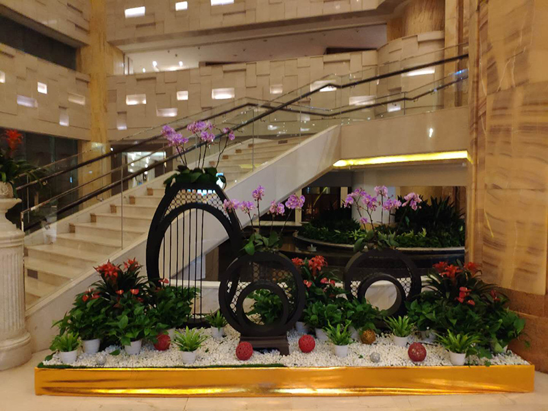 酒店大堂怎么擺放綠植盆栽？綠植租賃時怎么組景？